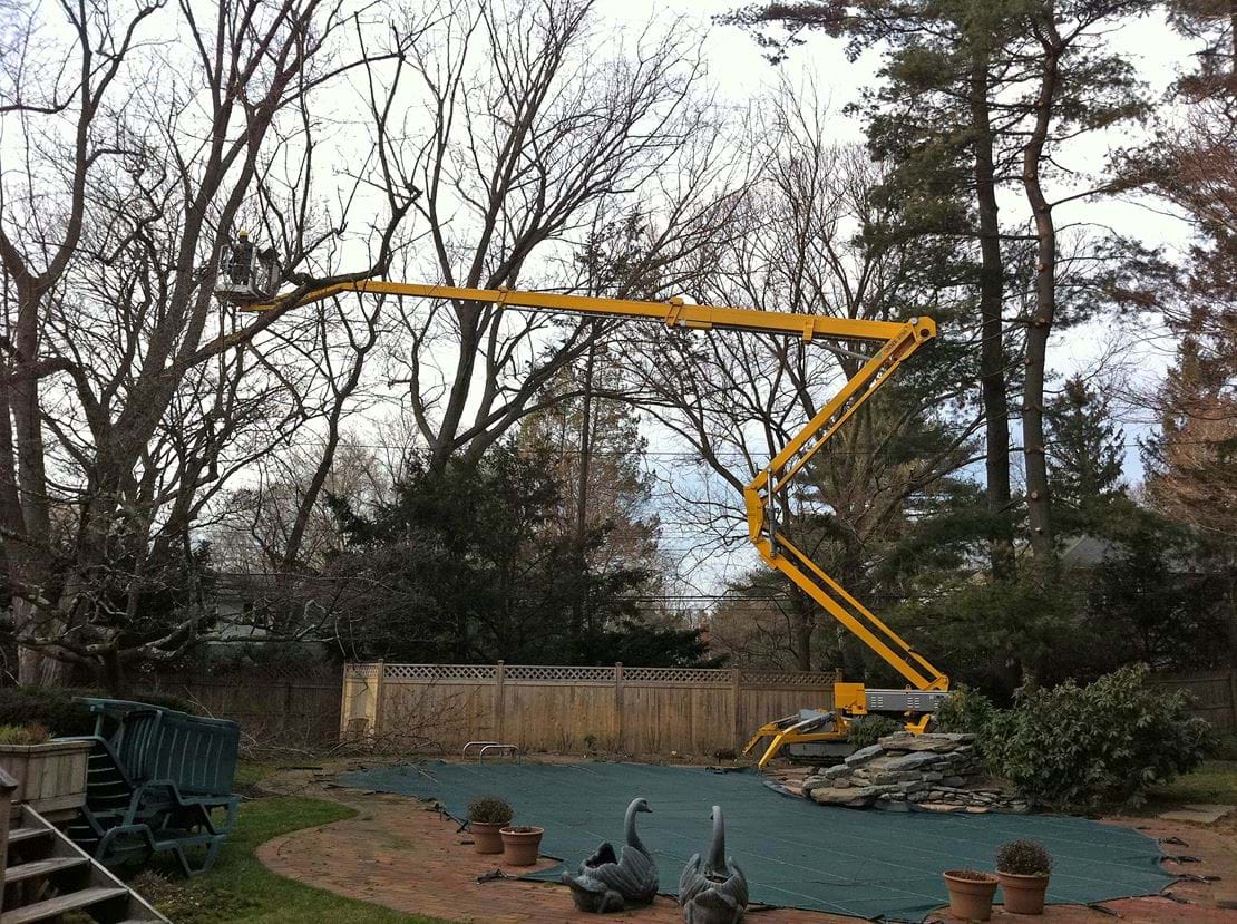 USA Ommelift 2750 RXJ tree 3.jpg