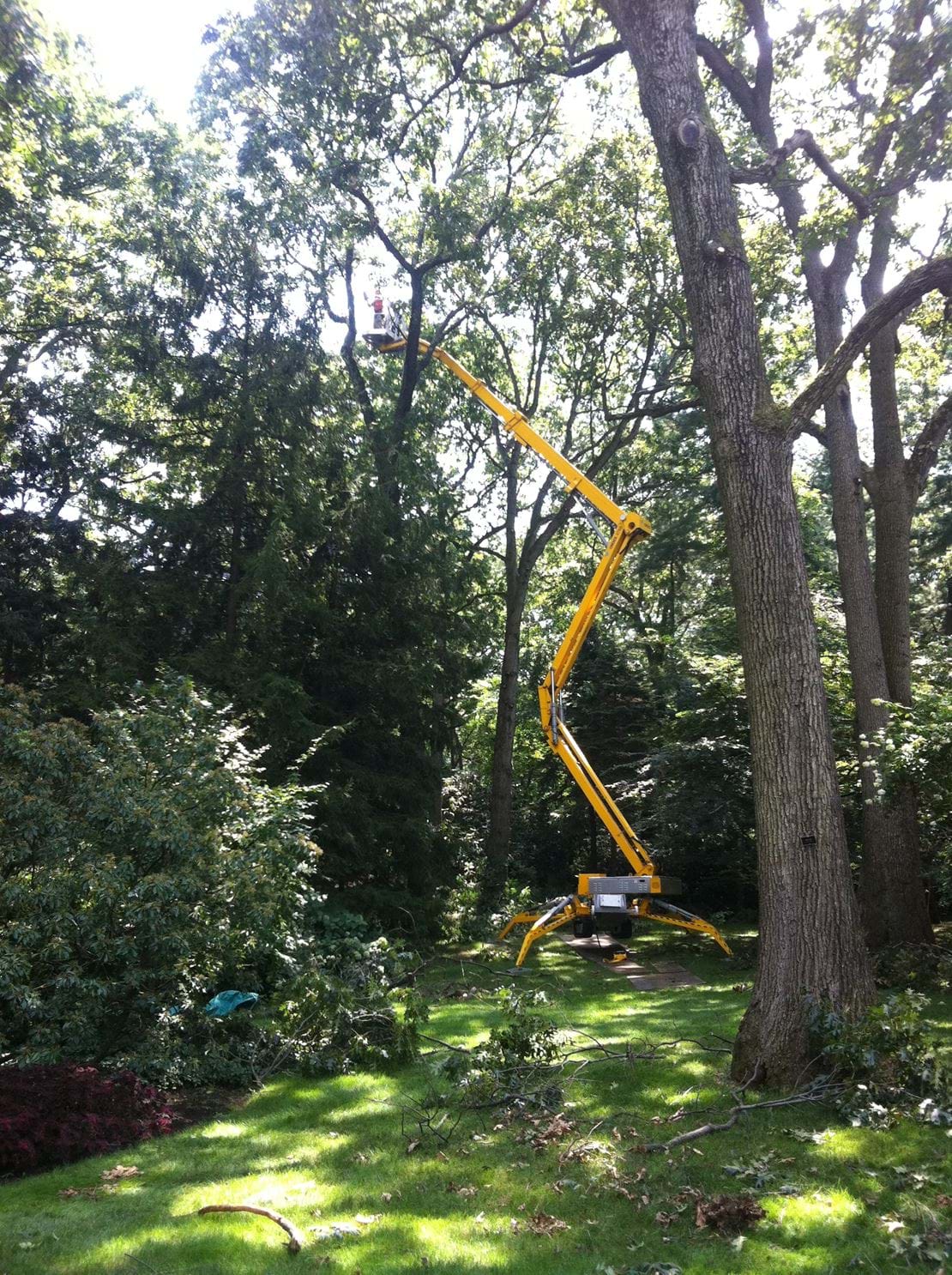 USA Ommelift 2750 RXJ Tree 2