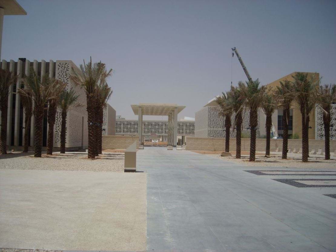 Saudi-2.jpg